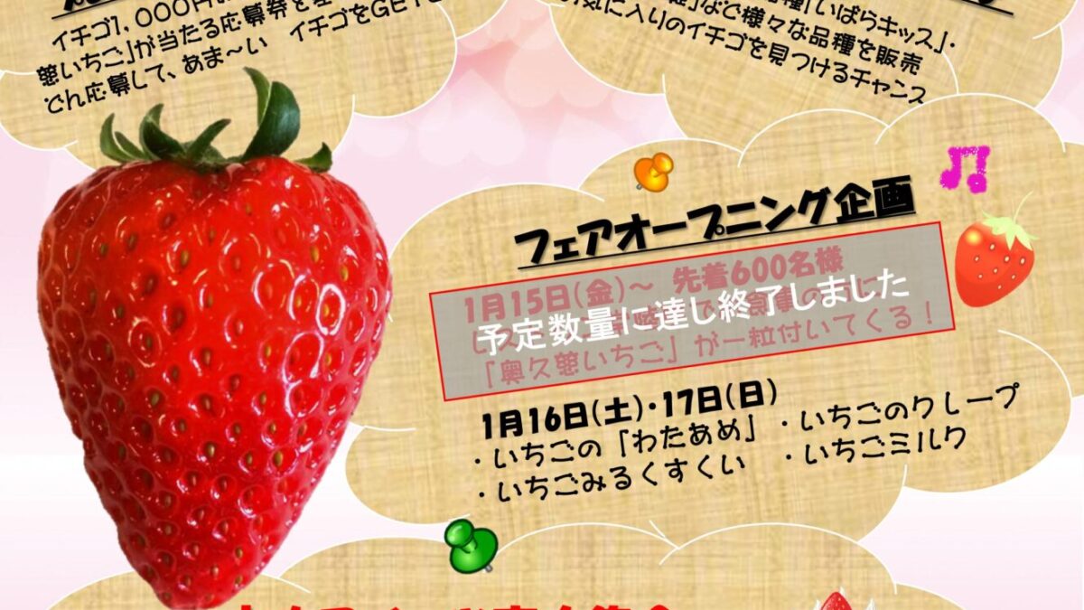 茨城をたべよう　奥久慈いちごフェア≪終了しました≫