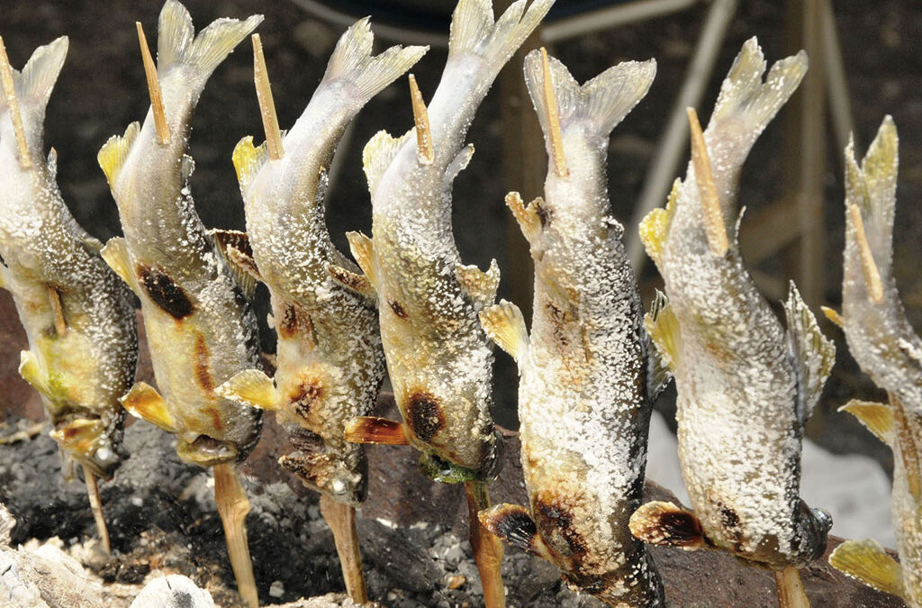 ３月の鮎塩焼き営業日のお知らせ