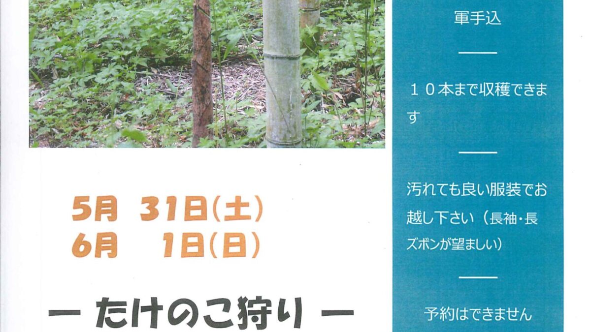 たけのこ狩り開催ー終了しましたー