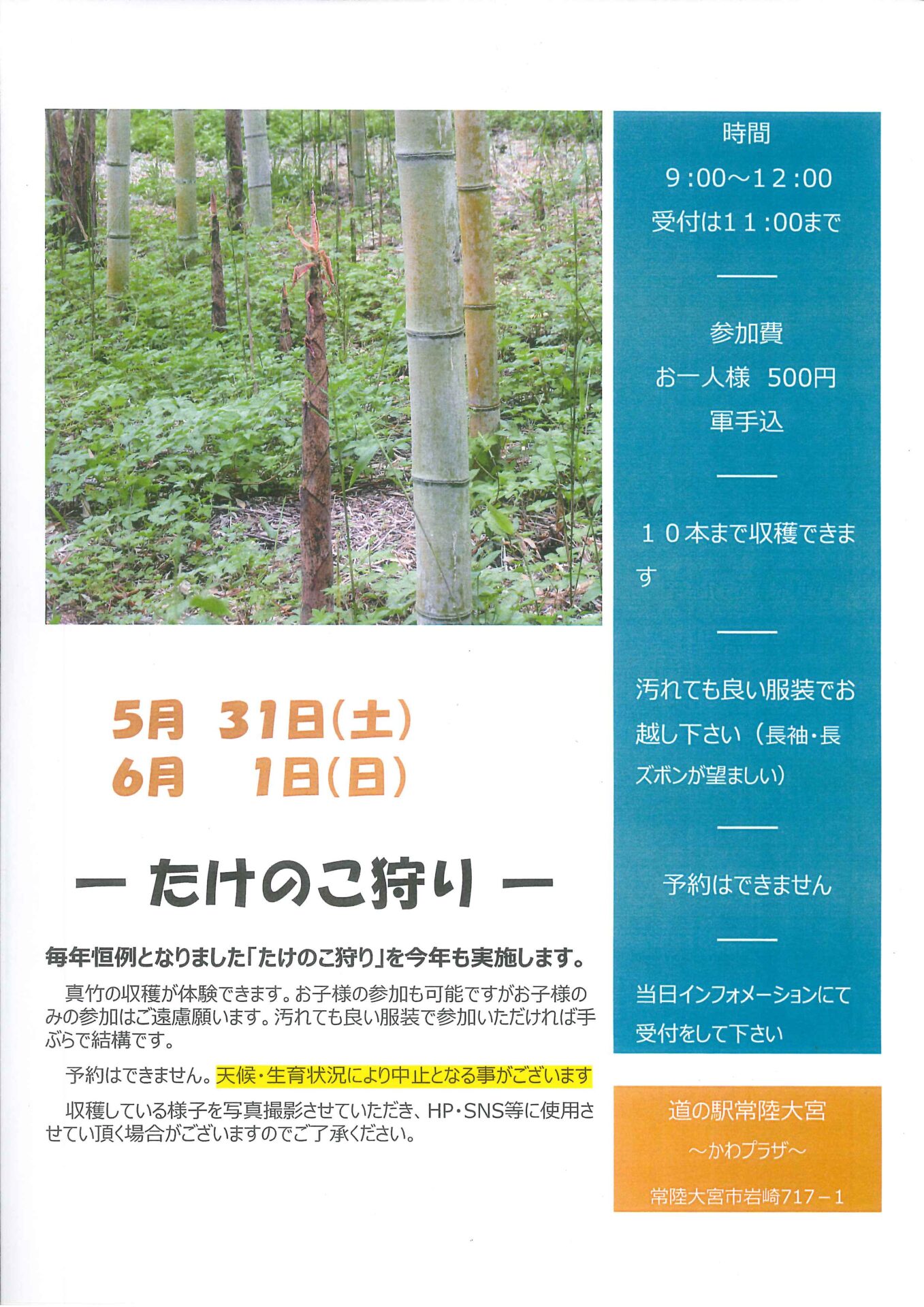 たけのこ狩り開催ー終了しましたー | 道の駅常陸大宮～かわプラザ～