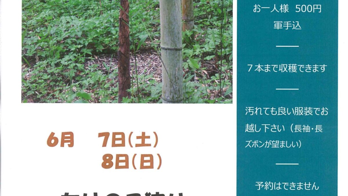 第２弾　たけのこ狩り開催ー終了しましたー