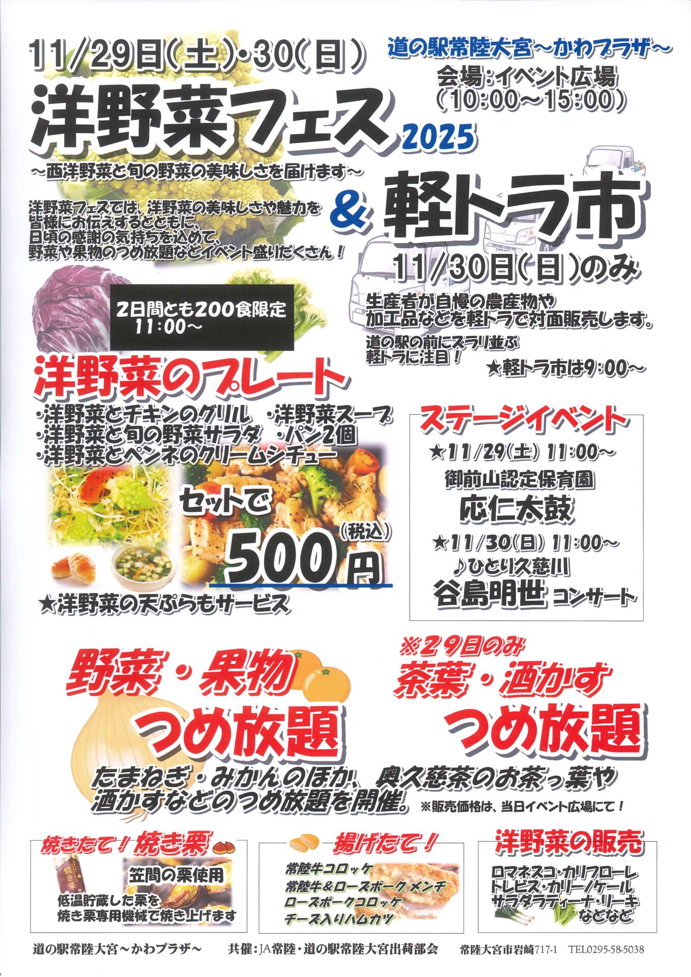 洋野菜フェス＆軽トラ市開催ー終了しましたー | 道の駅常陸大宮～かわ
