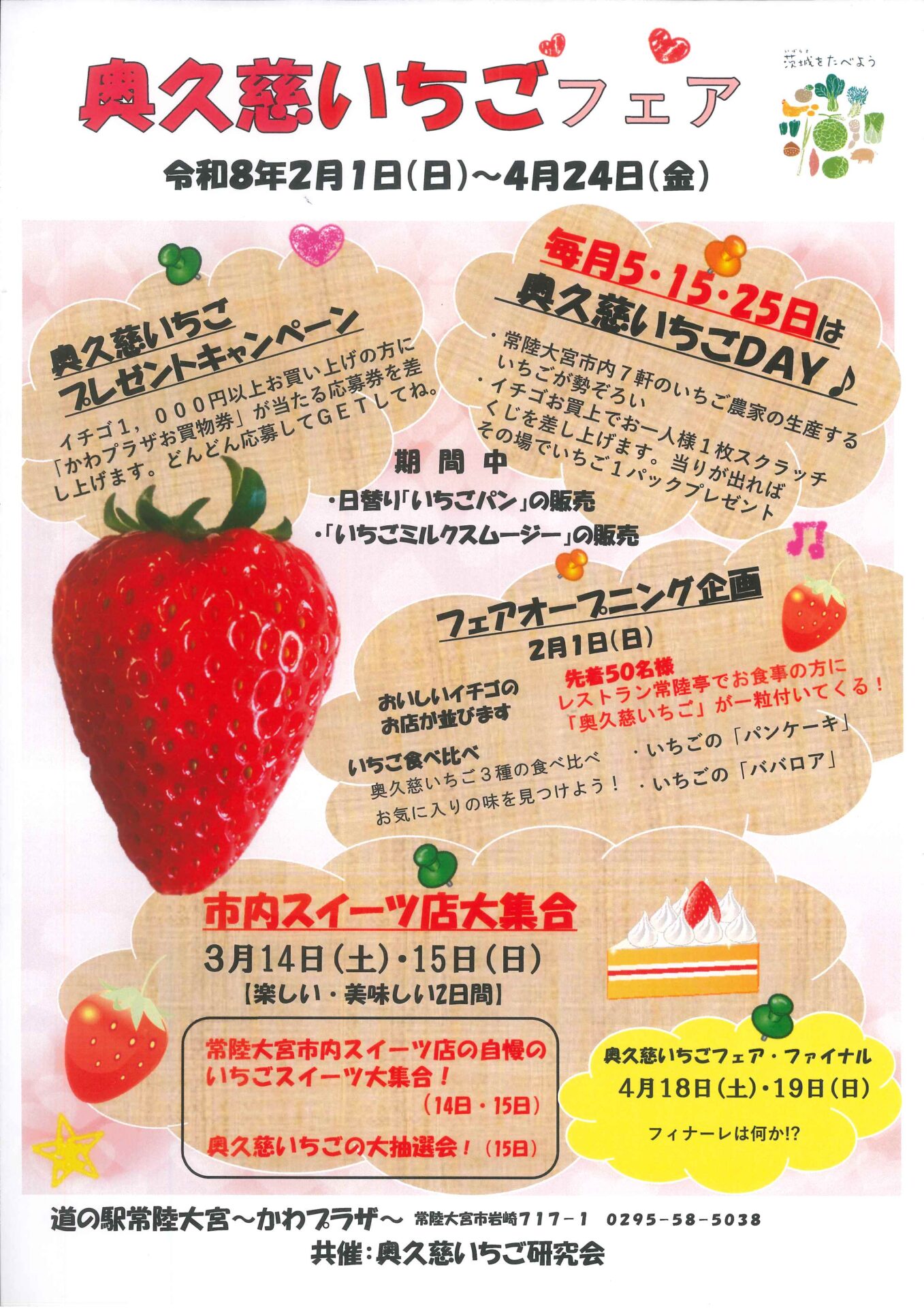 いちご様　リクエスト品 アキヒロイチゴ園 | ぐんまのくだもの園