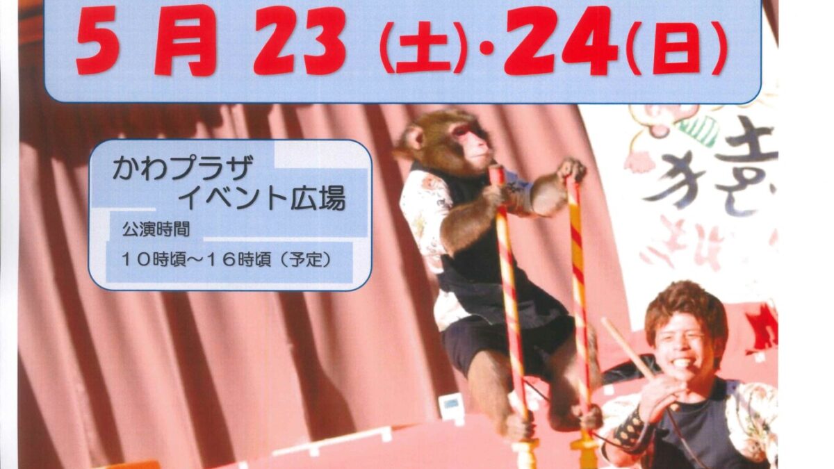 さる回しがご覧になれます