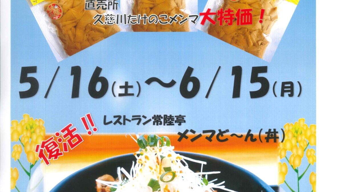 メンマまつり開催します